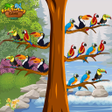 Birds Sort Color- Puzzle Games APK