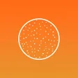 Grain - Pro Film Camera APK