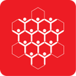Hive APK
