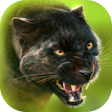 Panther Online APK