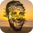 Photo Illusion AI Diffusion AI APK