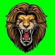 Profit Raaja Satta King APK
