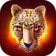 The Cheetah APK