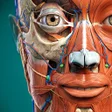 Anatomy Learning - 3D Atlas APK