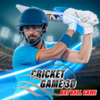 Cricket Game 3D: Bat Ball Game APK