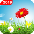 Green Grass Live Wallpaper HD: 4K Background 2019 APK