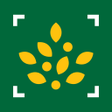 Morrisons Scan Shop APK