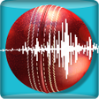 Snickometer : Cricket Prediction Tool APK