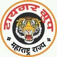 Tiger Group टयगर गरप APK